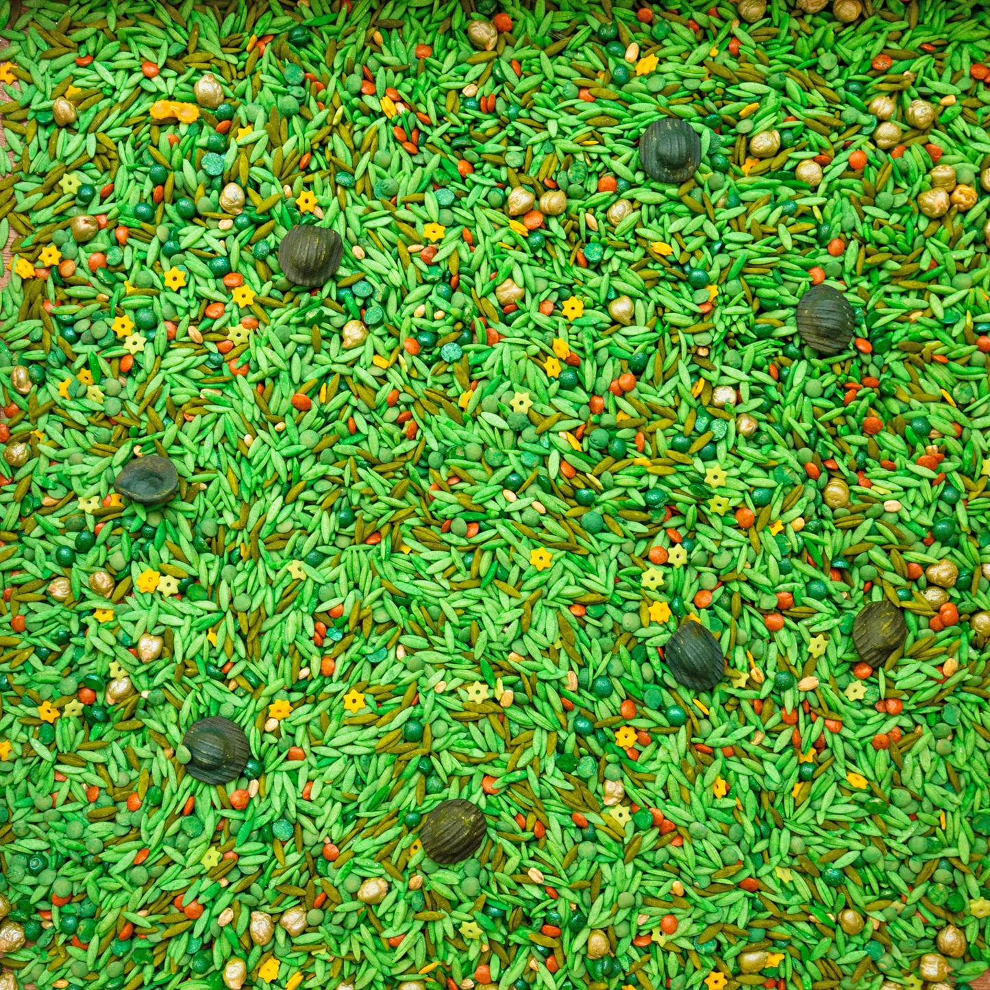 Little Lawn Explorers Filler