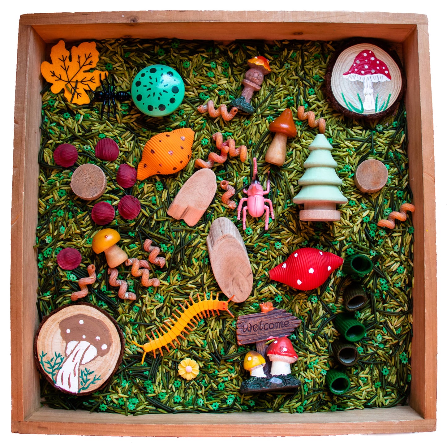 Mushroom Sensory Bin