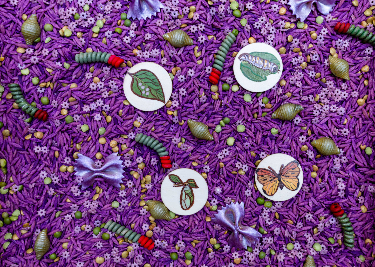 Whimsical Wings: Butterfly Sensory Bin Filler