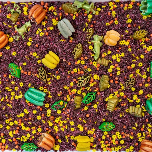 fall sensory bin filler, autumn sensory bin, fall sensory play, sensory bin filler, sensory rice, colored rice, fall sensory rice, autumn sensory filler, sensory table filler, DIY sensory bin, fall kids activity, autumn activity, preschool activity, Montessori activity, homeschool activity, fine motor activity, open ended play, imaginative play, screen free activity, fall classroom activity, sensory activities for kids