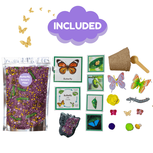 Butterfly Life Cycle Sensory Bin