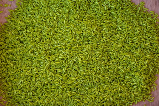 Olive Green Sensory Rice