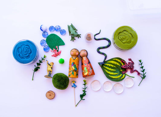Rainforest Play Dough Kit