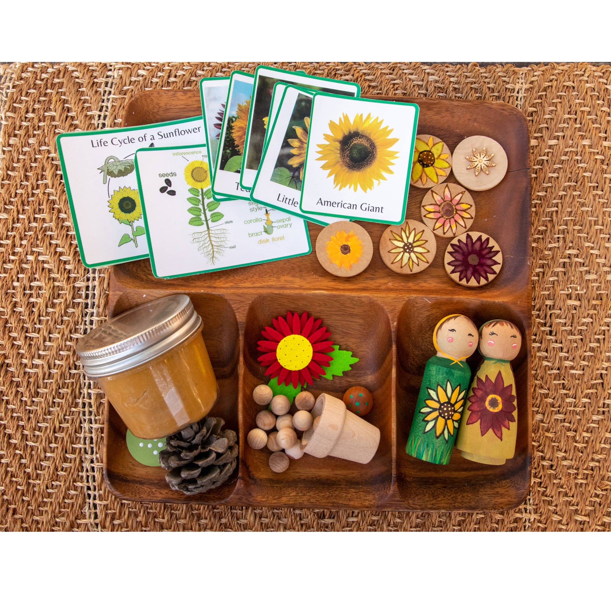 Montessori Life Cycle, Montessori Toy, Wooden Toys, Wood Toys, Peg Dolls, Peg doll, handmade toys, Waldorf Toys, Waldorf Doll, Preschool toys, Homeschool materials, play dough kit, sensory kit, playdough kit
